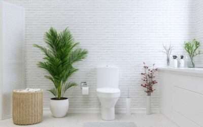Easy Ways to Make the Most Out of Your Spacious Bathroom